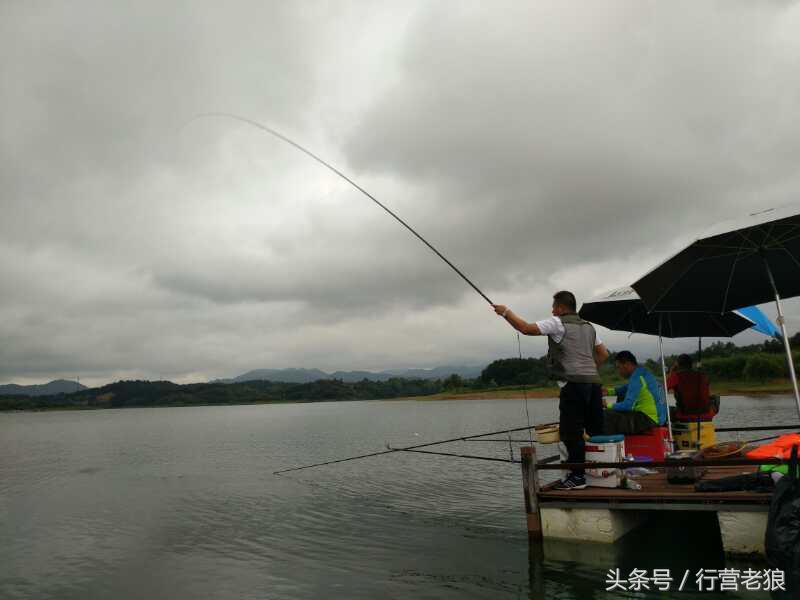 钓鱼怎么钓浮和钓底切换,钓底钓浮的正确方法