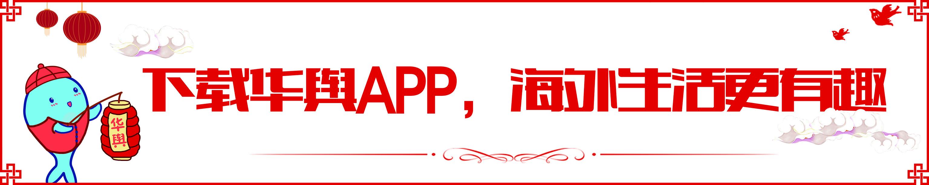 外国人可以在日本工作吗,外国人在日本一般从事什么工作