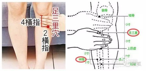 脾胃寒舌苔白厚艾灸什么穴位祛除,艾灸调理脾胃虚弱的方法