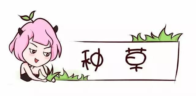 有了它冬天再也不怕冷了羽绒服,有了它冬天不再寒冷