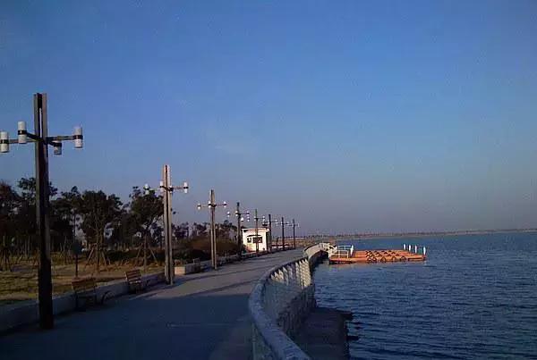 上海地铁直达花海,上海地铁9号线景点