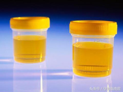 孕检单如何看预产期,怎么看孕检单估算体重