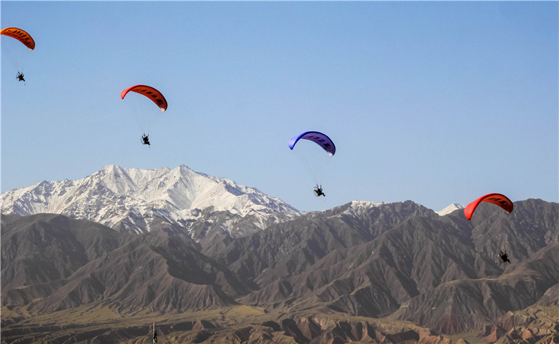 肃北七彩花海,肃北百亩花海在哪里