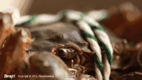 悦湖鲜阳澄湖大闸蟹怎么保存,阳澄湖大闸蟹冰箱保存图片