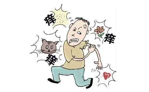 颈肩皮肤病,颈肩腰腿疼中医治疗套餐