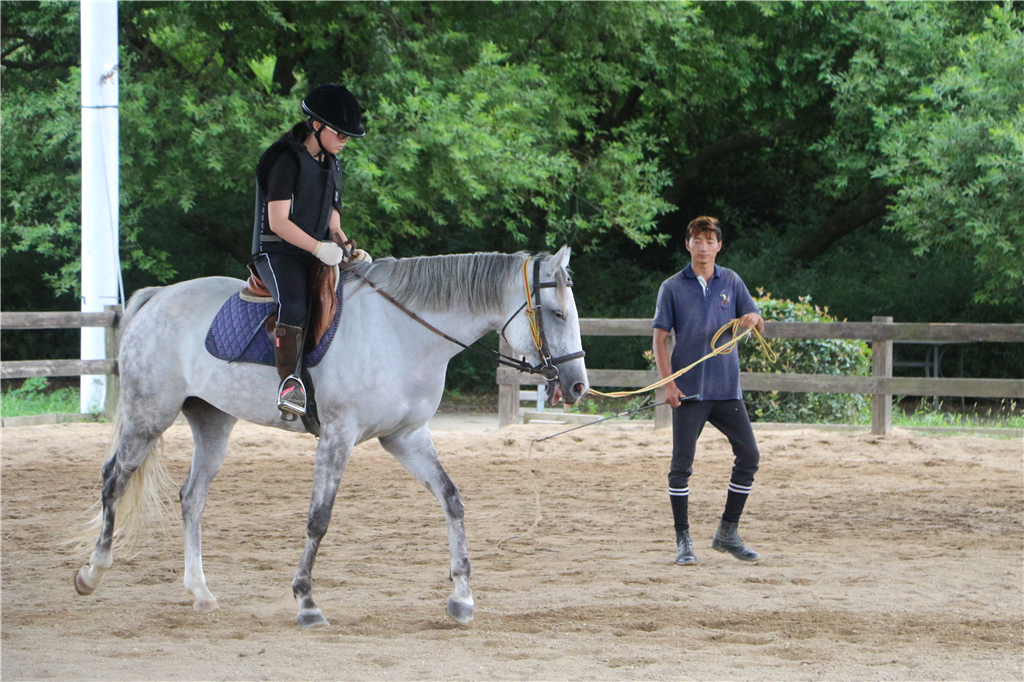 品农家菜,品农家美食