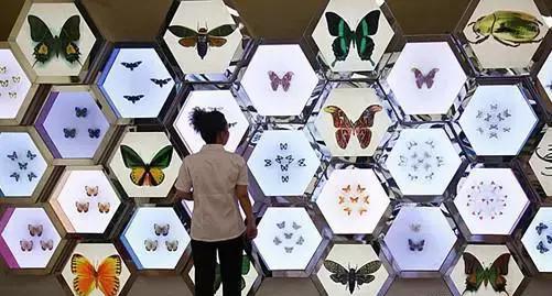 上海地铁直达的好玩的地方,上海坐地铁就能去的景点