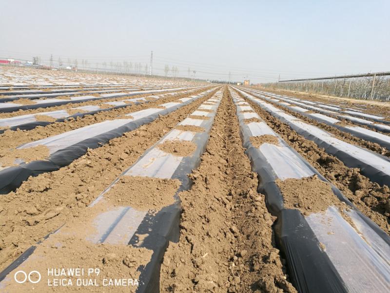 山东清田地膜,清田地膜