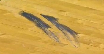 伟大的象征:孙杨的指纹、郭晶晶的眼睛、詹姆斯的脚趾、科比的手