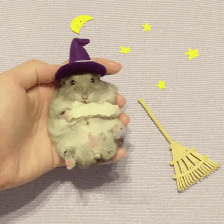 一只萌萌的吃货仓鼠,在角色扮演,还不忘记爪子里的好吃的