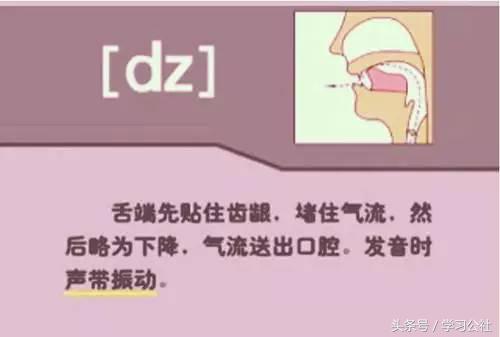 夏沫英语48个音标教学视频,英语音标教学视频48个快速记忆法