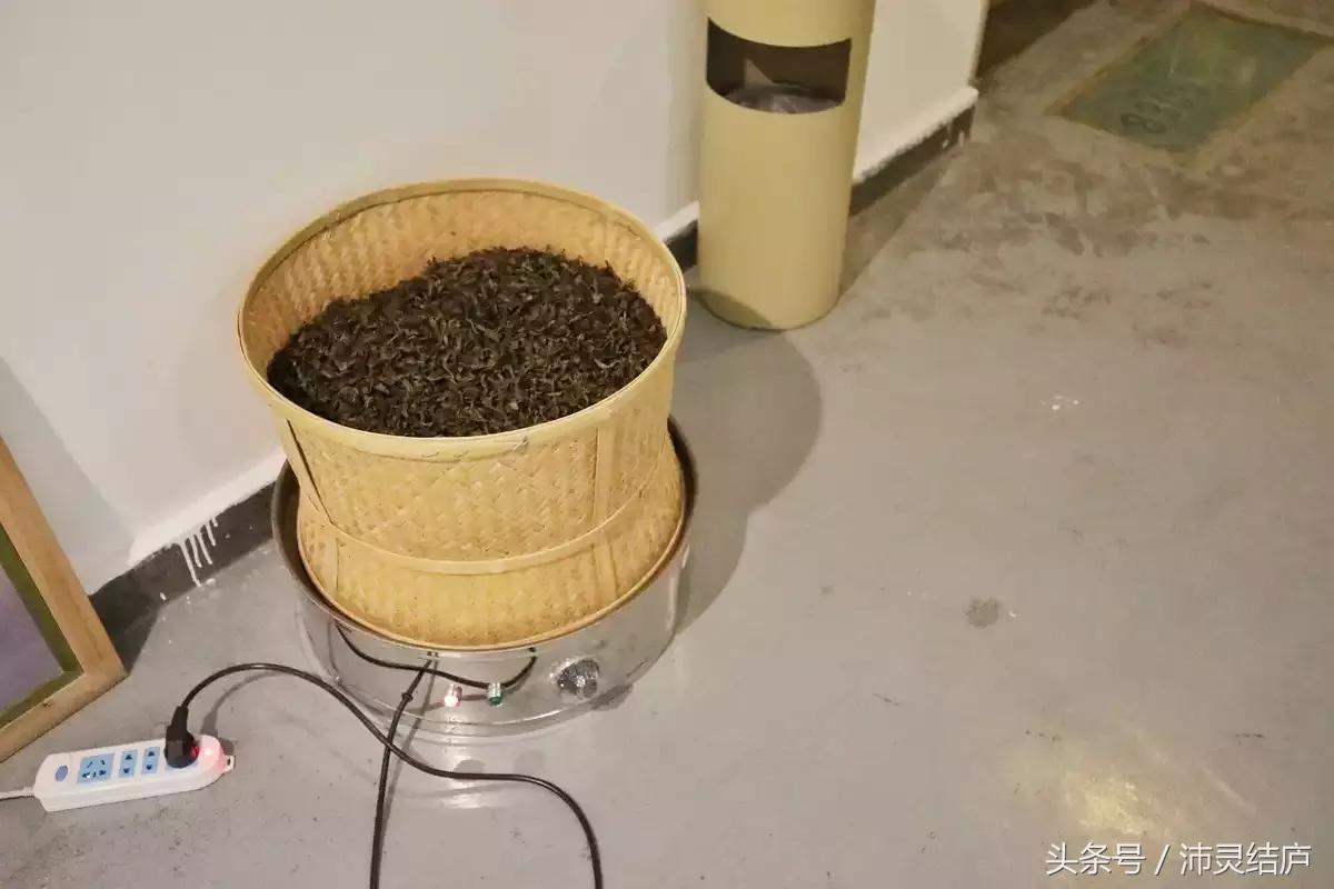 如果你只有一天的时间去乐山,如果你只有两天时间游南京