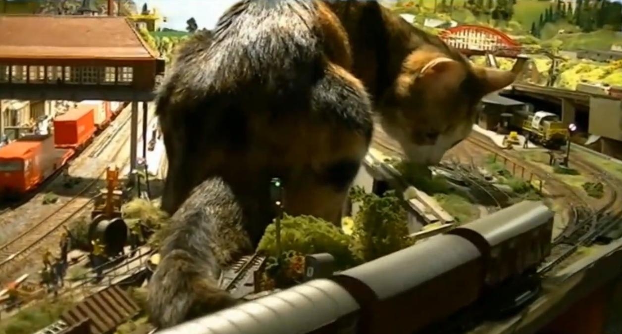 要主子还是火车？当喵星人侵入你的宝贝火车模型沙盘之后