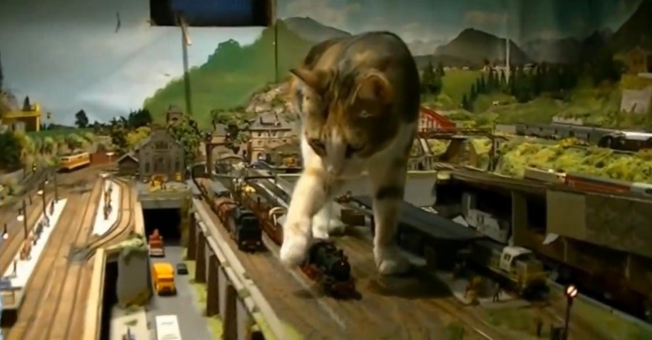 要主子还是火车？当喵星人侵入你的宝贝火车模型沙盘之后