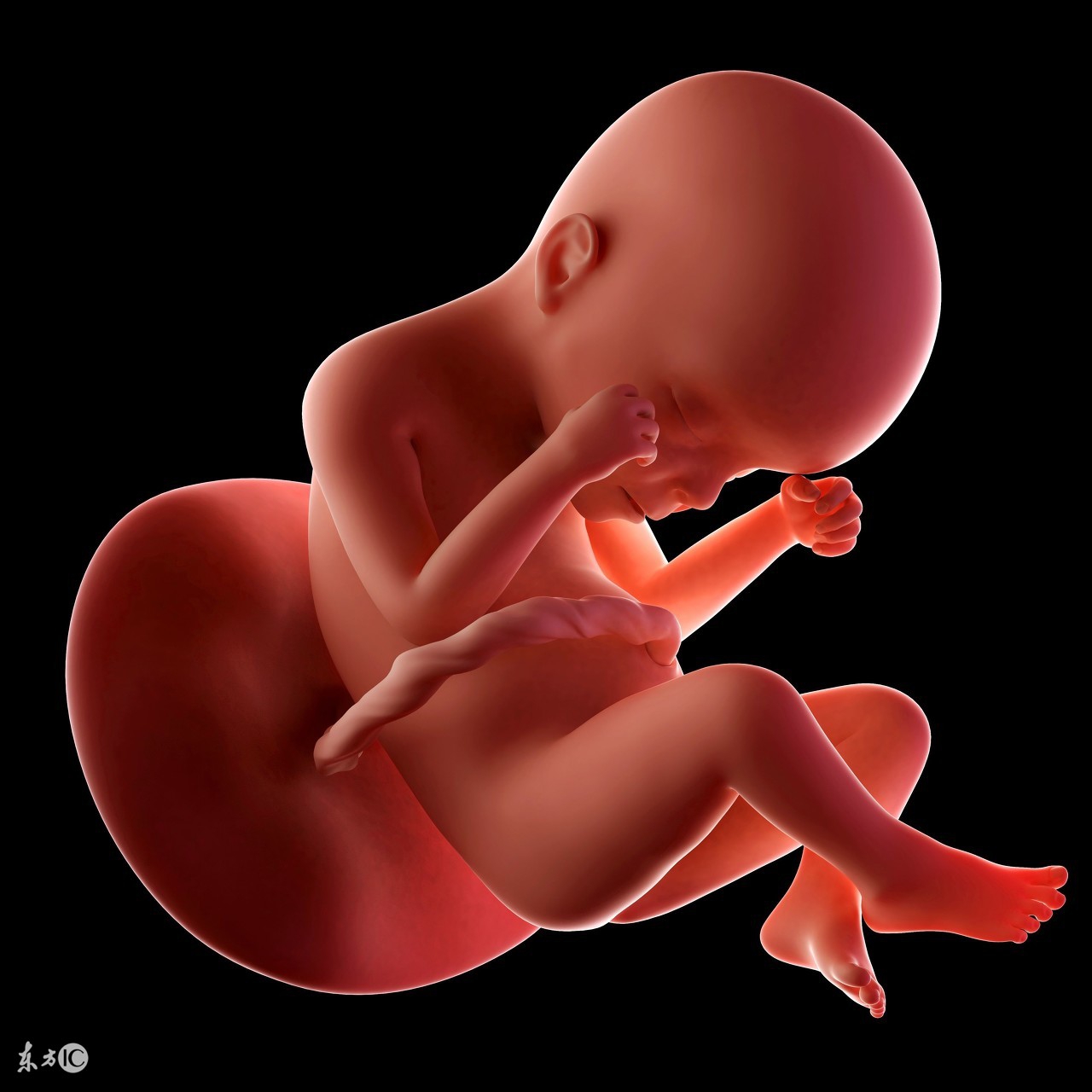 孕期如何判断胎儿是否偏大？巨大儿对孕妈妈和胎儿的影响