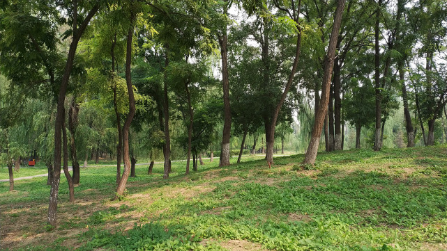 全面屏mix2,小米mix2最全评测