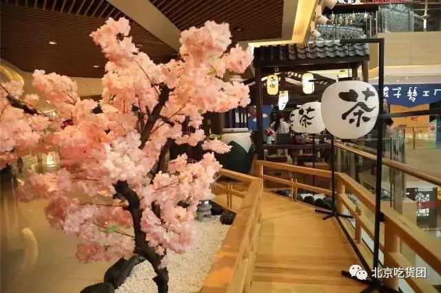 最正宗的抹茶,正宗的抹茶