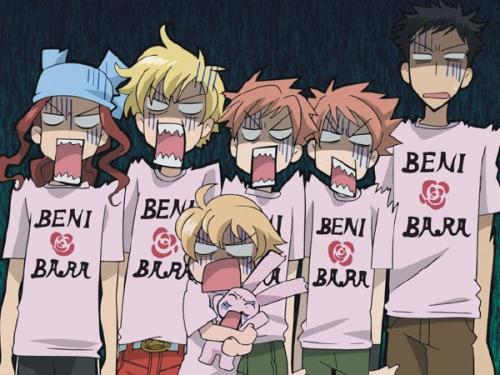 樱兰高校男公关部纯爱吗,樱兰高校男公关部动漫一口气看完