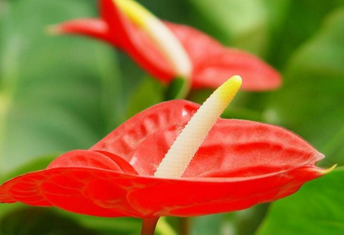 做人要有心机文案,做人要有心机视频