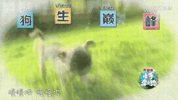 罗志祥小手牵小狗,小手牵小狗2018罗志祥