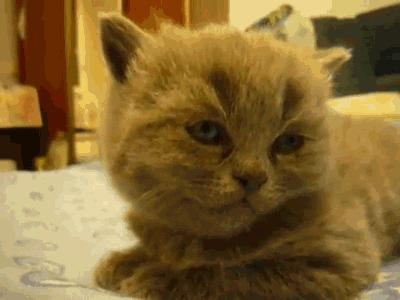 熬夜爆痘的急救方法,急救熬夜痘痘的最佳方法