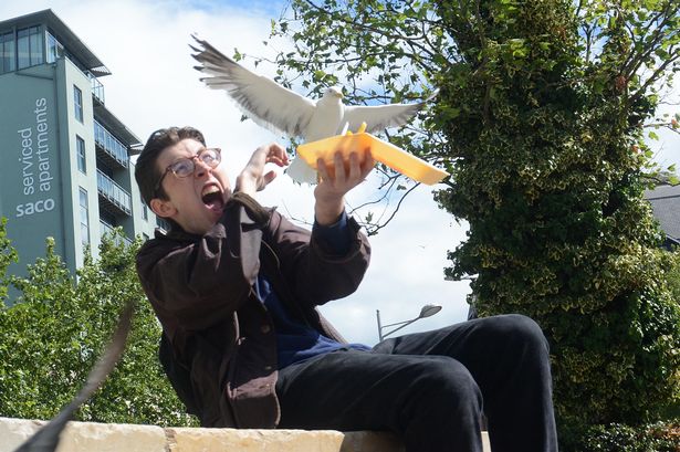 说一说我眼中的冬奥作文,带你们看最真实的澳大利亚