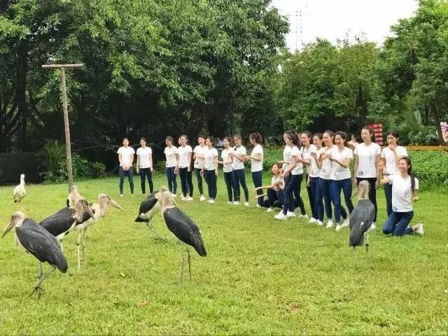 到了年龄必须拥有的四样东西,人到了一定年纪必须有的4样东西