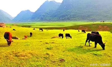 广西深秋好看的地方,广西的秋天哪里风景最美