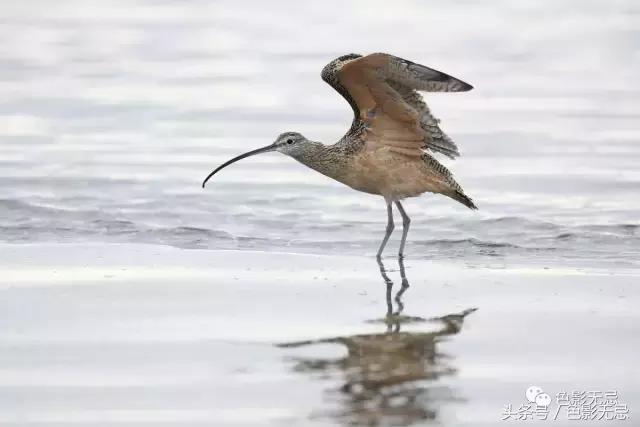 关于尼康d850的一些问答,尼康d850买回来怎么打开