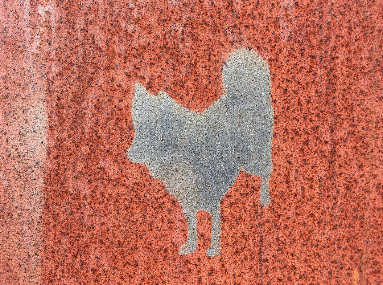 关于澳洲的一切,澳大利亚国王峡谷