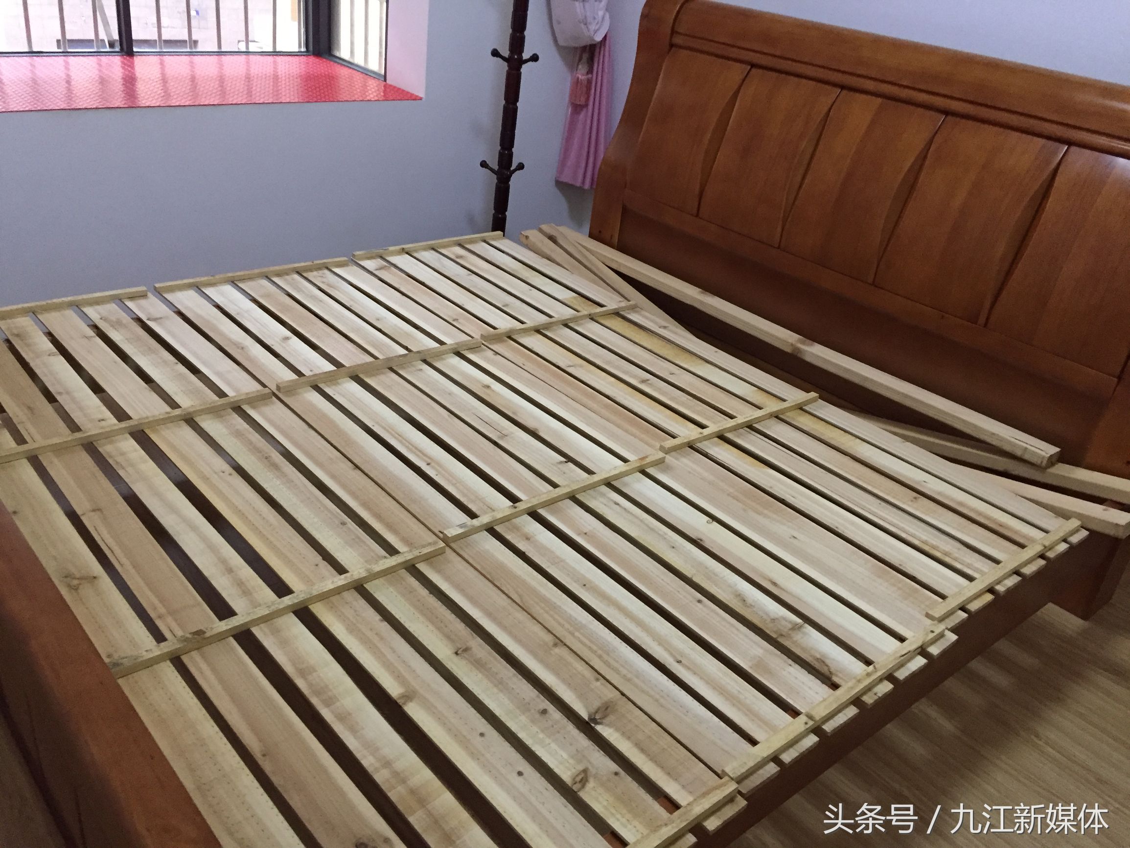 床上最吓人的虫子,床上出现可怕的虫子