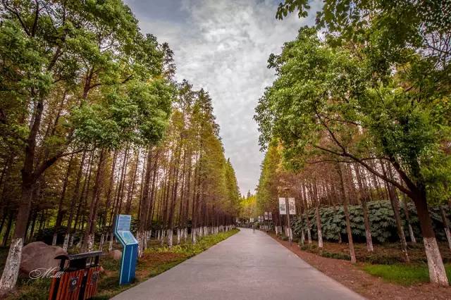 镇江有轨电车,镇江有名的塔叫什么塔