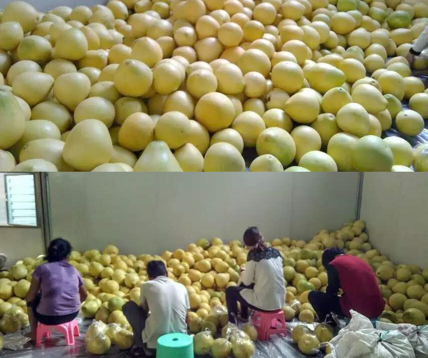 互联网时代乡村电商,乡村电商之路