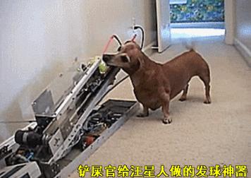 当科比遇到梅西,科比和梅西你会选择谁