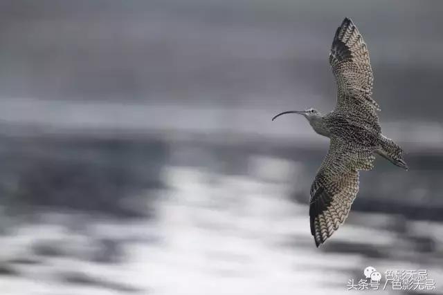 关于尼康d850的一些问答,尼康d850买回来怎么打开