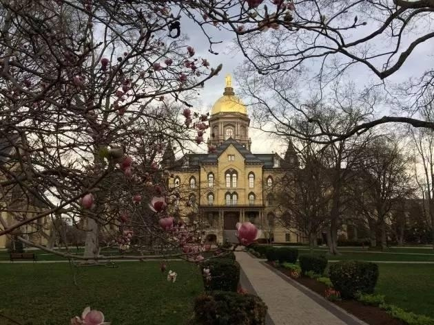 美国考cpa含金量高吗,美国cpa考试题库