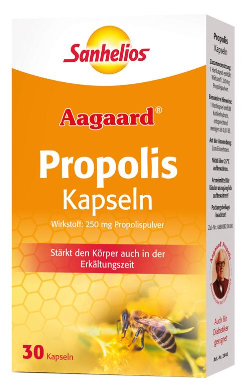 秋日健康必备好物,秋季健康养生好物