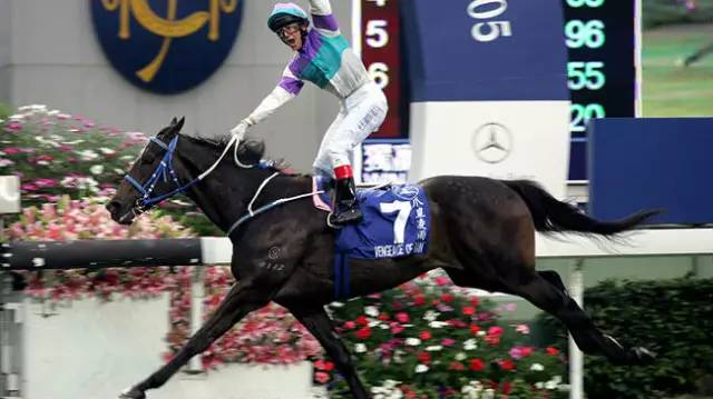 你不知道的十件事纪录片,你不知道的那些鸡毛蒜皮的事