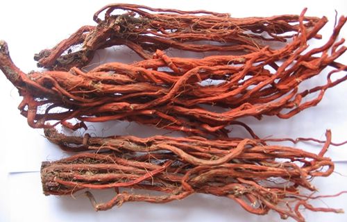 白参花旗参党参有什么区别,人参党参西洋参花旗参的区别图片