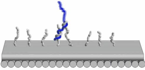 女科学家机器人视频,华裔女科学家加拿大