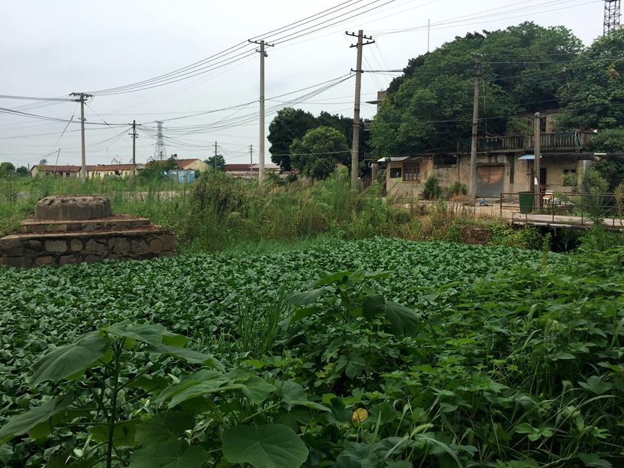 昆山张浦镇区域图,张浦飞地