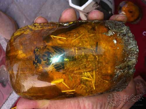 琥珀假原石的鉴别方法,琥珀蜜蜡造假材料