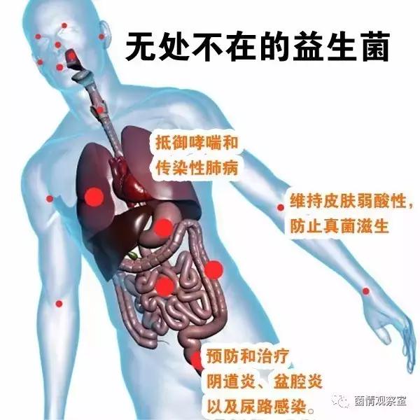 益生菌可以随便吃吧 (益生菌有话说)