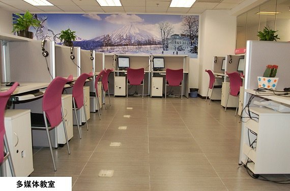 樱花日语学习,学好日语共赏樱花用日语怎么说