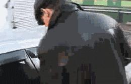 这年头还有人偷汽车吗,这年头还有人偷机动车吗