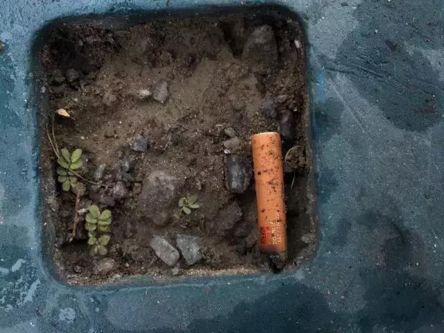 上海人经常抽什么烟,上海普通人吸什么烟