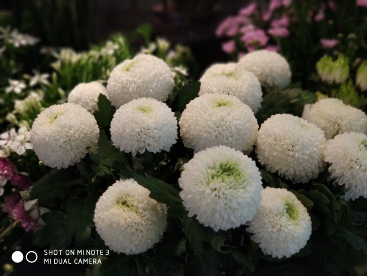 精湛的外观工艺/拍人更美的相机小米Note3评测