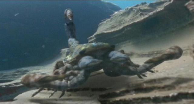 世界上曾经统治过地球的史前巨兽,地球上曾经存在的8大巨兽