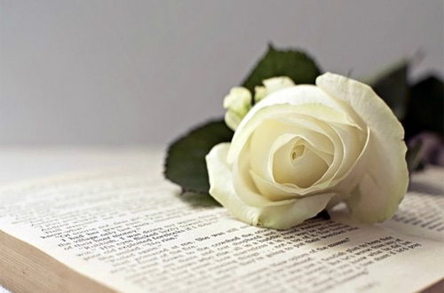 以后记住了,要试着顺时针向前跑