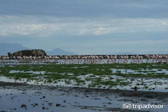 缤纷绚丽的视频,色彩斑斓的世界美景